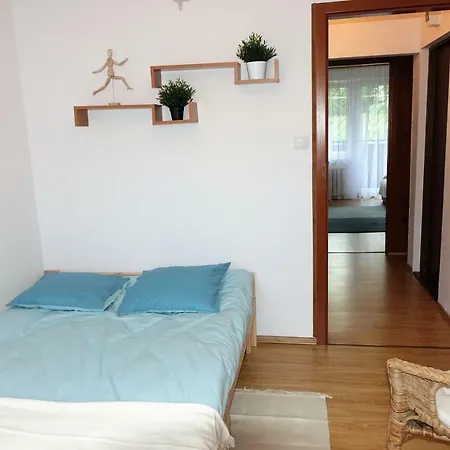 Apartament Borowikowa Apartment